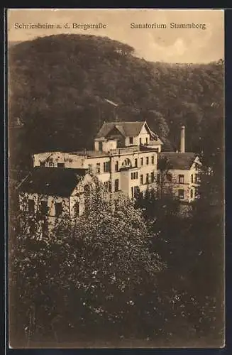 AK Schriesheim a. d. Bergstrasse, Sanatorium Stammberg im Wald