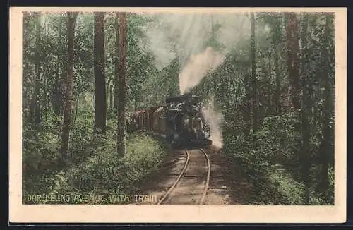 AK Darjeeling, Avenue with train