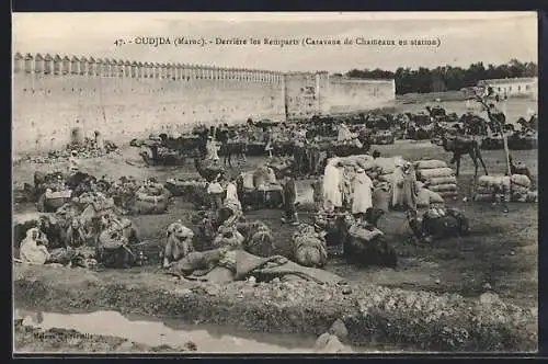 AK Oudjda, Derriere les Remparts, Caravane de Chameaux en Station