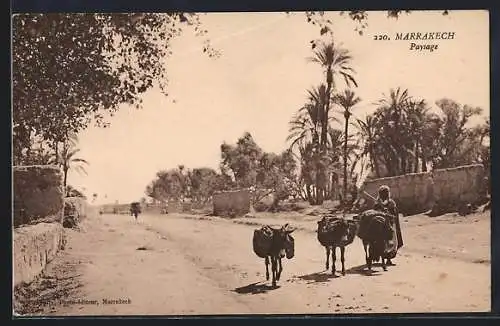 AK Marrakech, Paysage