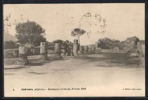 AK Tipasa, Basilique civile du Forum 1916