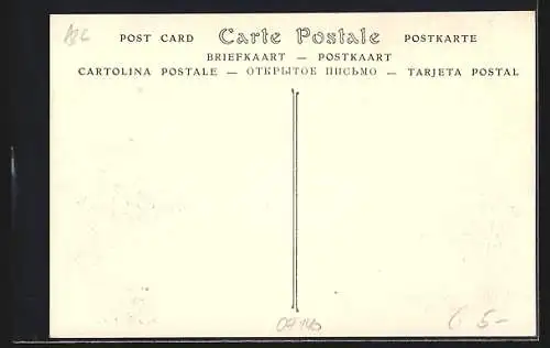 AK Biskra, Vue générale