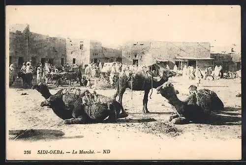 AK Sidi-Okba, Le Marché