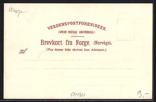 Künstler-AK Themistokles von Eckenbrecher: Dampfer am Nordkap