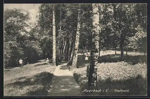 AK Auerbach / V., Stadtpark mit Weg zwischen Birken