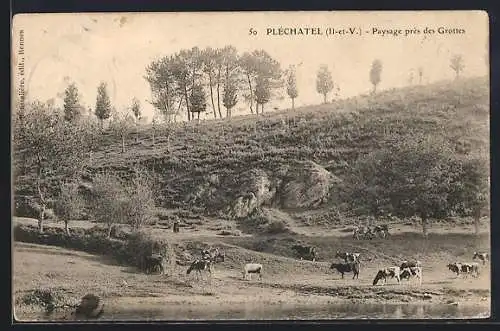 AK Pléchatel /Il-et-V., Paysage près des Grottes