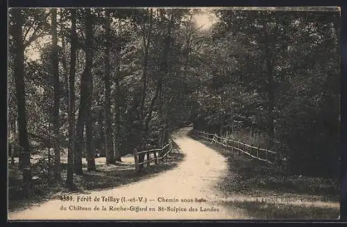 AK Teillay /I.-et-V., La Forêt, Chemin sous bois du Château de la Roche-Giffard en St-Sulpice des Landes