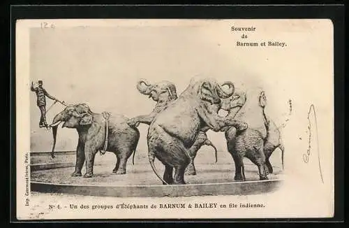 AK Zirkus Barnum et Bailey, Un des groupes d'Elephants, Zirkusshow