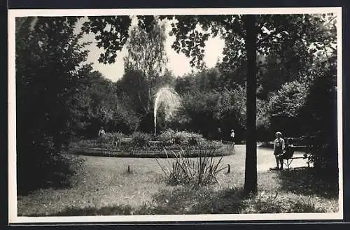 AK Fürstenfeld /Steiermark, Stadtpark mit Springbrunnen