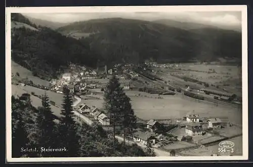 AK Selztal /Steiermark, Teilansicht mit Strassenpartie