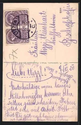 AK Liezen /Steiermark, Ortsansicht mit Hochluck und Angerhöhe