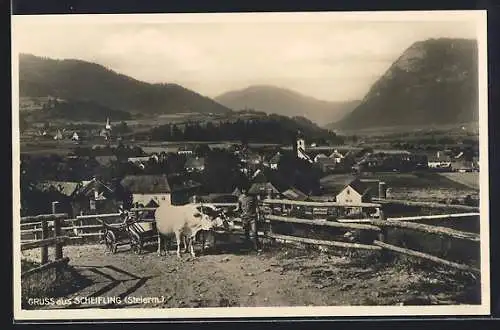 AK Scheifling /Steierm., Teilansicht mit Ochsenwagen