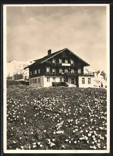 AK Krimml, Gasthaus Filzsteinhaus im Frühling