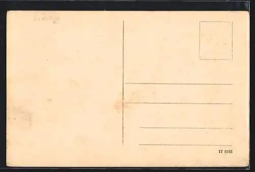 AK Budweis, Ringplatz mit Markt