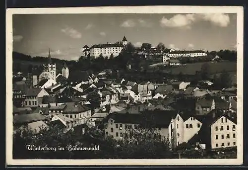 AK Winterberg, Teilansicht mit Schloss