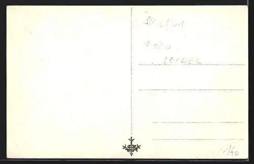 AK Volary na Sumave, Strassenpartie mit Ochsenkarren