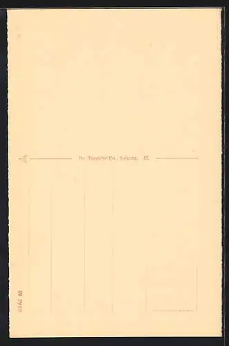 AK Hof i. B., Rathaus und Michaeliskirche