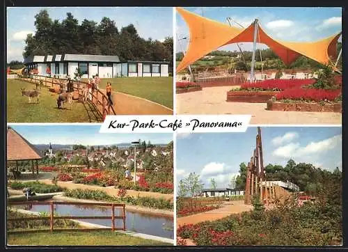 AK Nümbrecht, Kur-Park-Café Panorama, Bes. Helmut und Grete Hannes, Weide mit Eseln