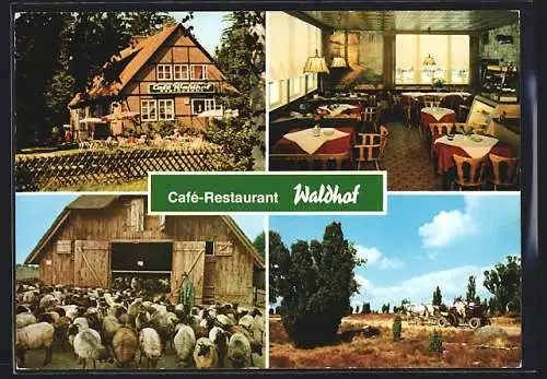 AK Niederhaverbeck, Cafe-Restaurant Waldhof, Innenansicht, Hirte mit Schafen