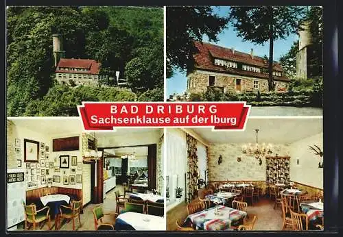 AK Bad Driburg, Gasthaus Sachsenklause auf der Iburg, Innenansichten