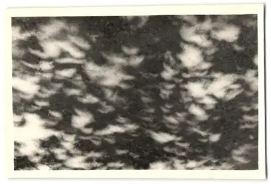 30 Fotografien Sonnenfinsternis am 30.6.1954, Private Serie der Sonnenfinsternis in verschiedenen Phasen 29