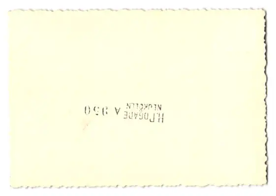 21 Fotografien H. Pogade, Berlin-Neukölln, Ausdruckstanz, Tanzgruppe / Tänzerinnen in verschiedenen Bühnenszenen 28