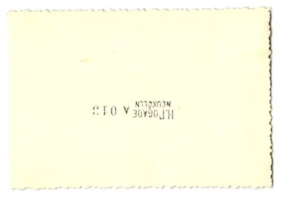 21 Fotografien H. Pogade, Berlin-Neukölln, Ausdruckstanz, Tanzgruppe / Tänzerinnen in verschiedenen Bühnenszenen 35