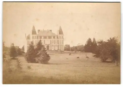 Fotografie unbekannter Fotograf, Ansicht Saint-Nicolas-de-Redon, Das Schloss Cavardin