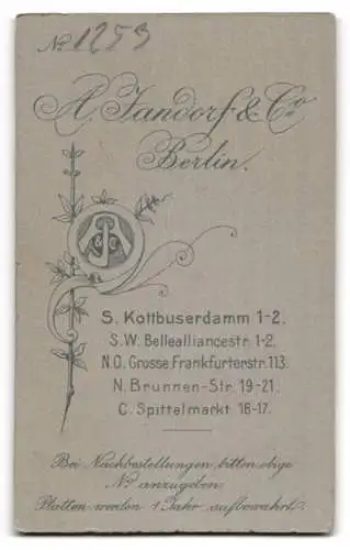 Fotografie A. Jandorf & Co., Berlin, Kottbusserdamm 1-2, Porträt eines jungen Mannes