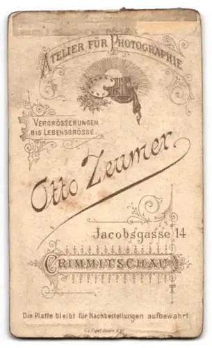 Fotografie Otto Zeumer, Crimmitschau, Jacobsgasse 14, Portrait eines jungen Mannes