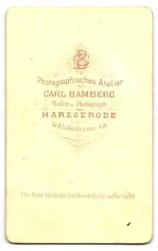 Fotografie Carl Bamberg, Harzgerode, Schlossstrasse 68, Feine Dame in eleganter Pose