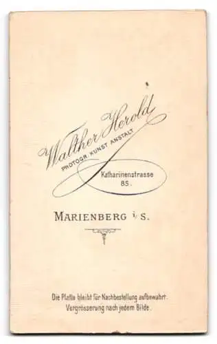 Fotografie Walther Herold, Marienberg i. S., Katharinenstrasse 85, Ein Kind in Matrosenkleidung