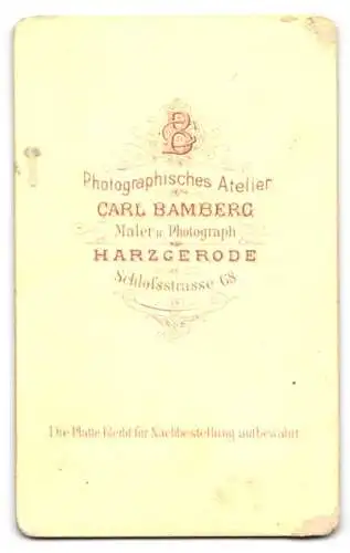 Fotografie Carl Bamberg, Harzgerode, Schlossstrasse 68, Dame mit Blumengesteck und Stuhl