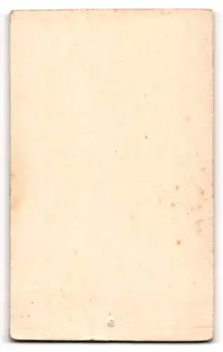 Fotografie Th. Thielemann, Strelitz i. M., Porträt einer Frau in elegantem Kleid