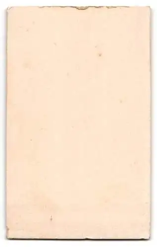 Fotografie Th. Thielemann, Strelitz i. M., Bürgerlicher mit Schnurrbart und Fliege