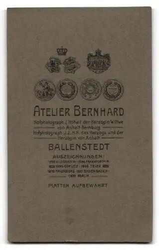 Fotografie Bernhard, Ballenstedt, Porträt eines eleganten Herrn mit Schnurrbart