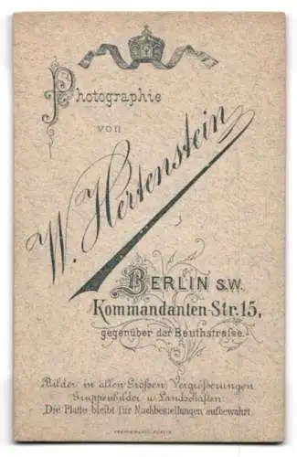 Fotografie W. Hertenstein, Berlin, Kommandanten-Str. 15, Porträt eines eleganten Herrn