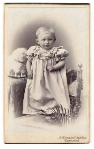 Fotografie A. Bernhard, Ballenstedt, Kleines Kind in hellem Kleid mit Puffärmeln