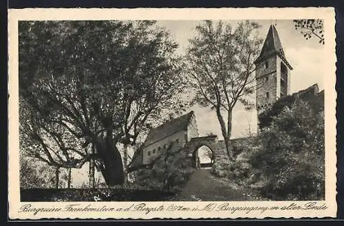 AK Frankenstein / Bergstrasse, Burgruine an der Bergstrasse, Burgeingang