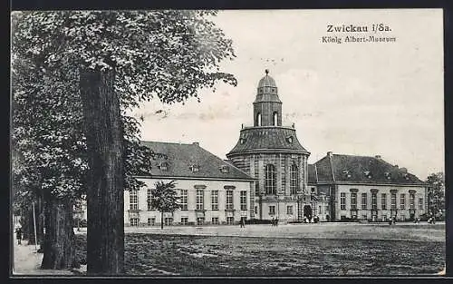 AK Zwickau i. Sa., König Albert-Museum und Parkanlage