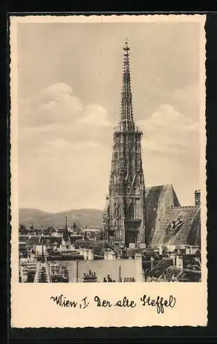 AK Wien, Der alte Steffel, Blick auf die Stephanskirche