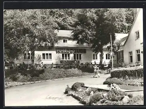 AK Giessübel /Thür. Wald, Café Waldbaude, Aussenansicht