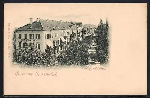 AK Franzensbad, Blick in die Salzquellstrasse