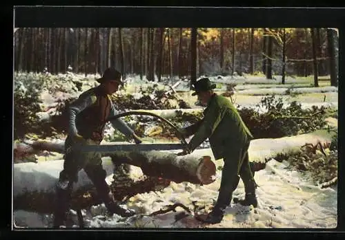 AK Holzfäller bei der Arbeit im Schnee