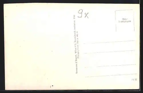 AK Kaibing /Oststmk., Fliegeraufnahme von Maria Fieberbründl