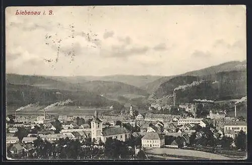 AK Liebenau i. B., Panorama