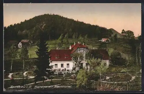 AK Zwickau i.B. / Cvikov, Kuranstalt Martinstal mit grossem Garten