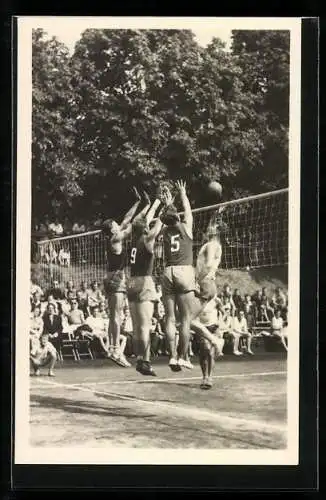 AK Männer spielen Volleyball, Sport