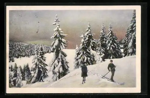 AK Zwei Skiläufer in einsamer Winterlandschaft