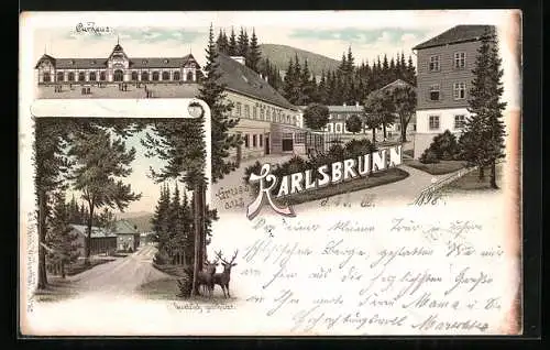 Lithographie Karlsbrunn, Ortspartie mit Gasthof, Darstellung vom Curhaus